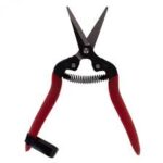 قیچی باغ میوه چینی سرکج VFP 009 واستر